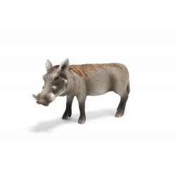 Warzenschweinsau