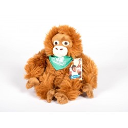 Orang-Utan Zoo Rostock