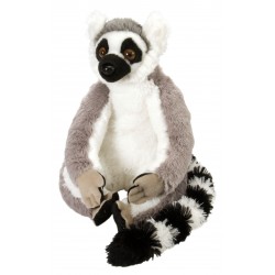 Ringelschwanz Lemur gross