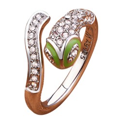 Ring Schlange