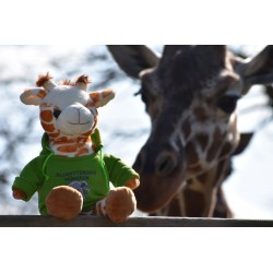 Giraffe mit Allwetterzoo-Hoody