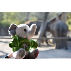 Elefant mit Allwetterzoo-Hoody