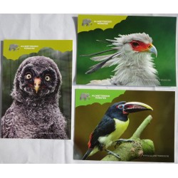 Postkarten-Set Vogel