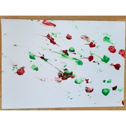 Schildkröten- Bild von Finn